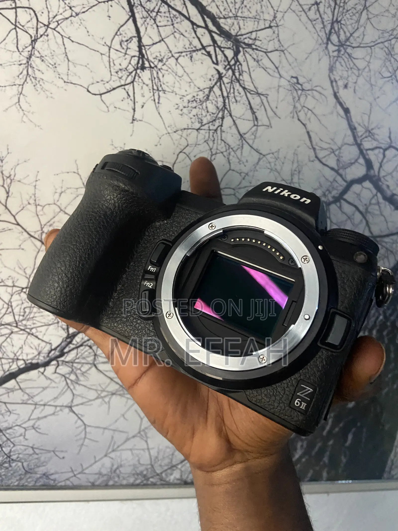 Nikon Z6 Mark 2