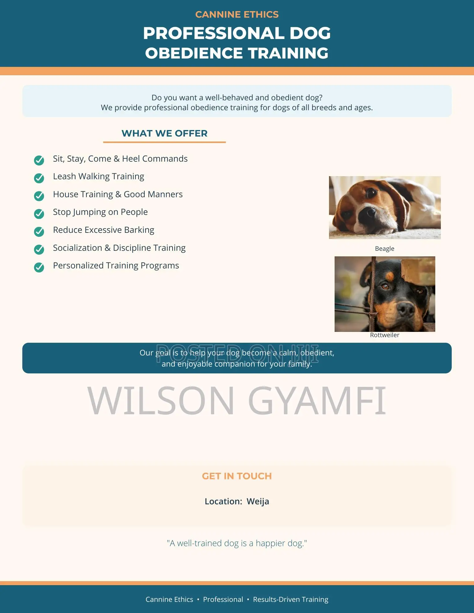 Professional Dog Obedience Training Services