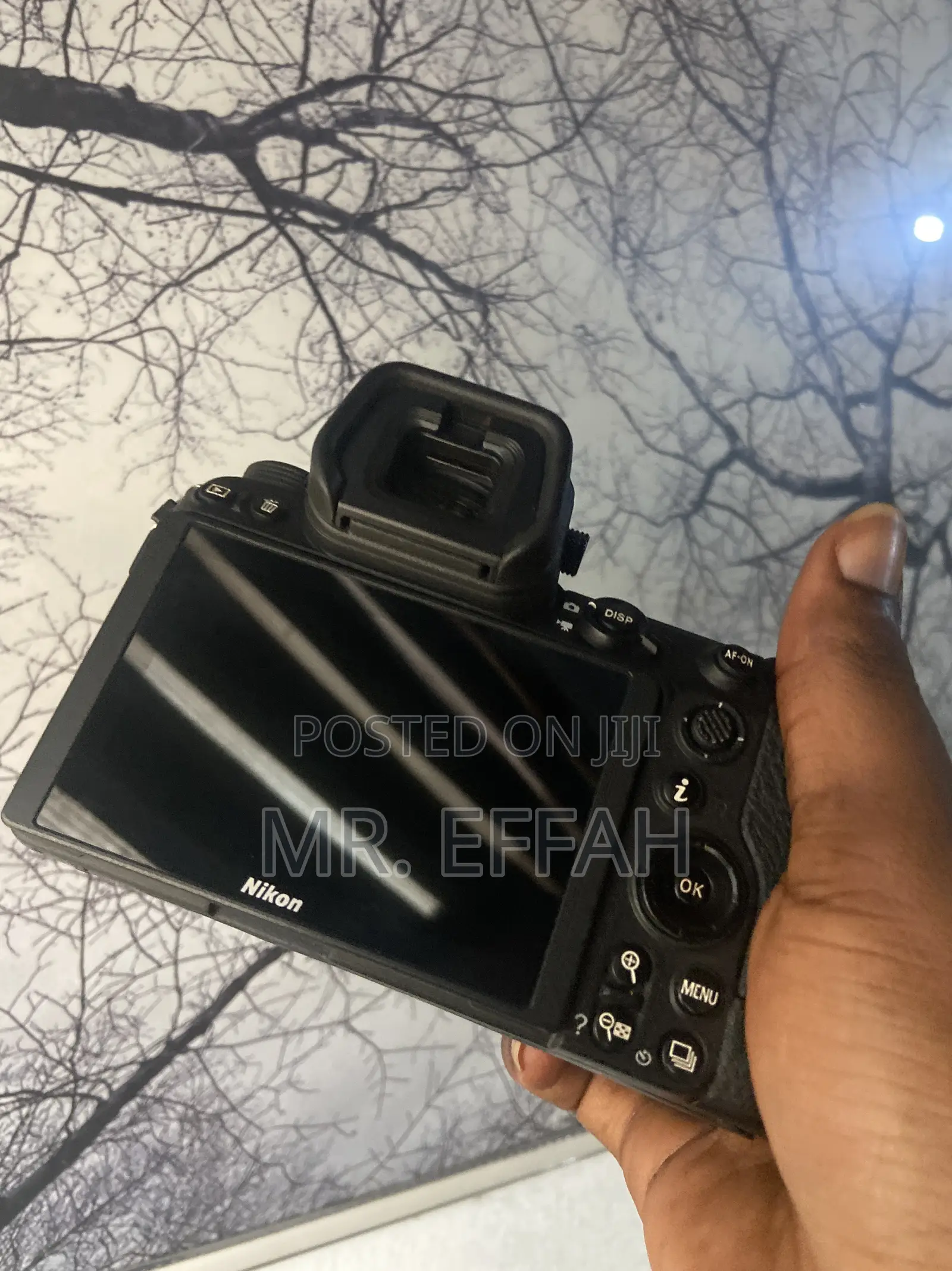 Nikon Z6 Mark 2