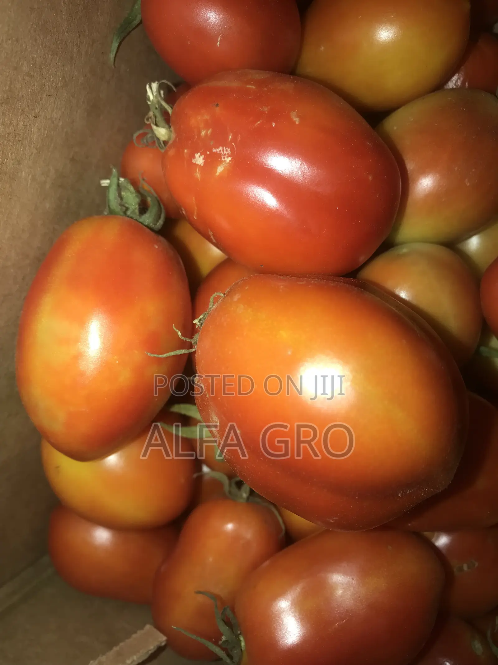 Tomatoes(1 Carton)
