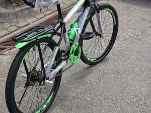 Kuwait Mountain Bike in Green (12-15yrs)