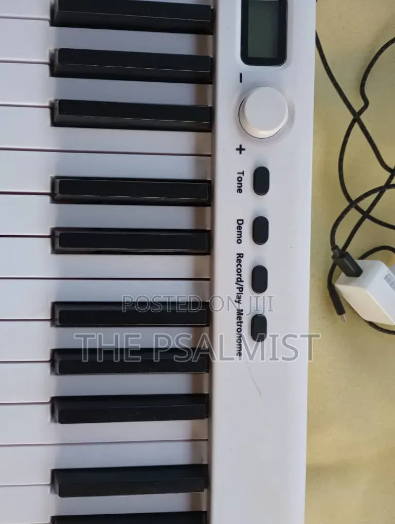 BX 20 Fordable 88keys Digital Piano