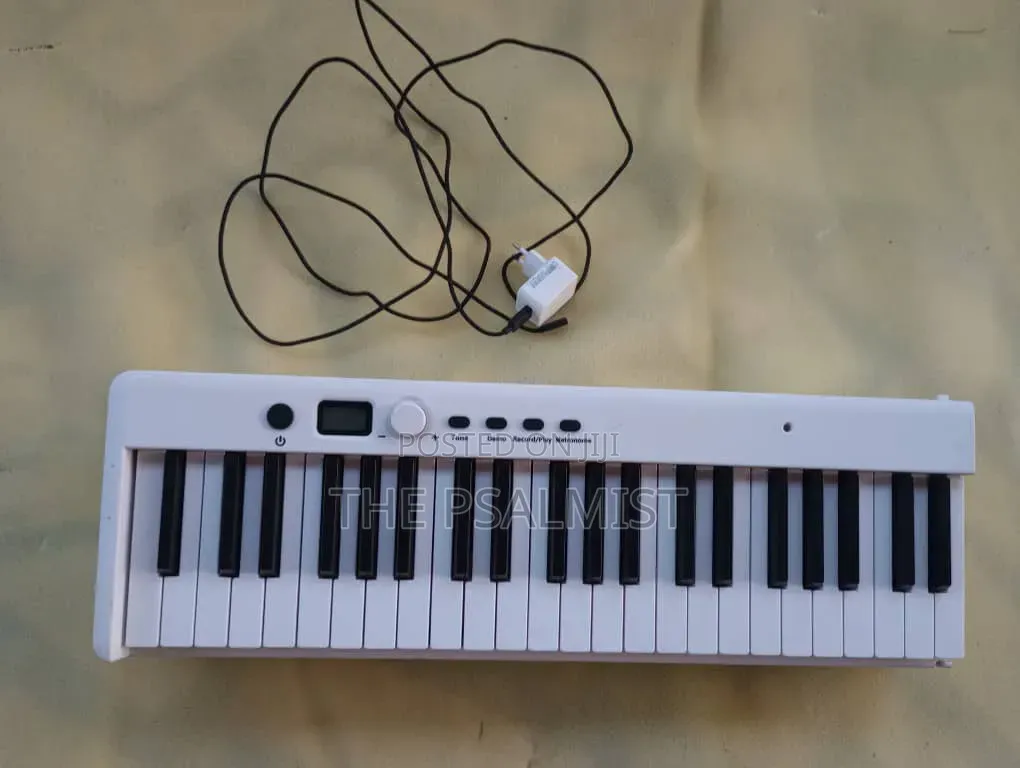 BX 20 Fordable 88keys Digital Piano