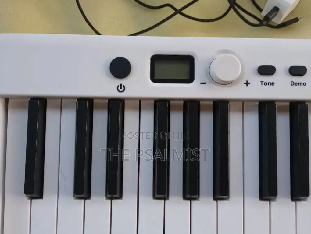 BX 20 Fordable 88keys Digital Piano