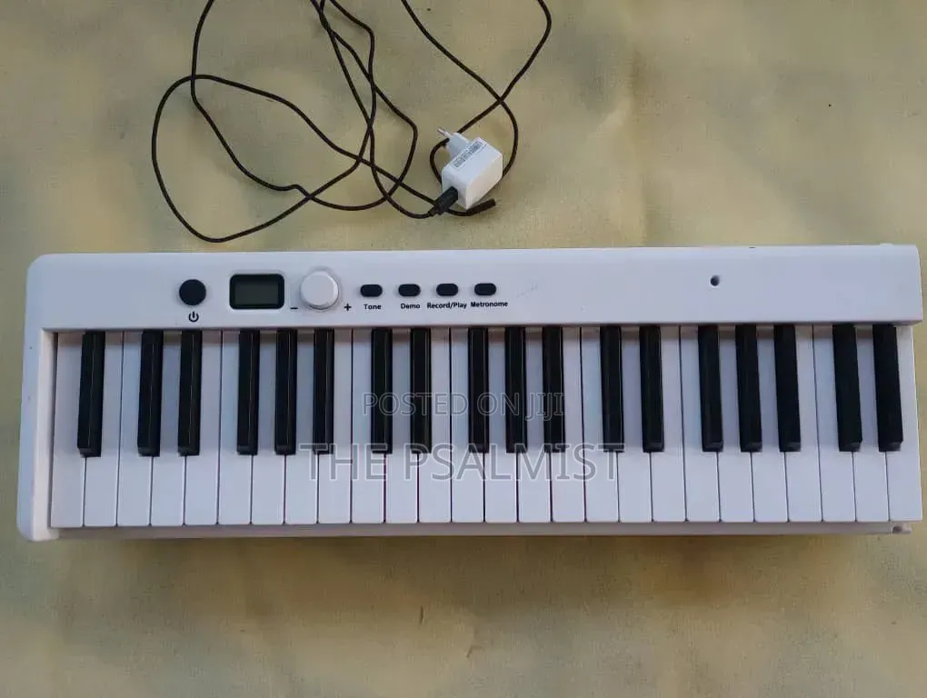 BX 20 Fordable 88keys Digital Piano