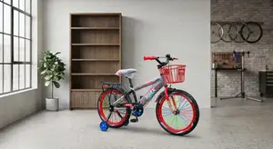 BMX Bicycle