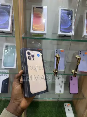New Apple iPhone 13 Pro Max 256 GB Gold