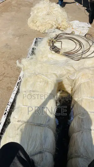 Sisal Fiber (Long)