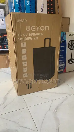 Wayon 18inches DJ Speaker (2mics)