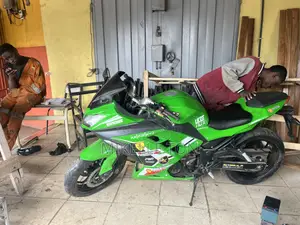 Kawasaki Ninja 300 2025 Green