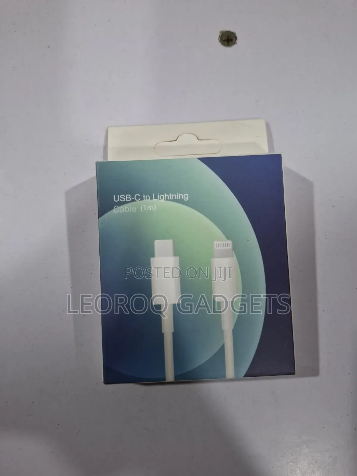 iPhone Lightning to USA Cable