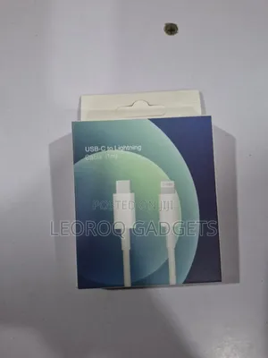 iPhone Lightning to USA Cable