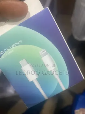 iPhone Lightning to USA Cable