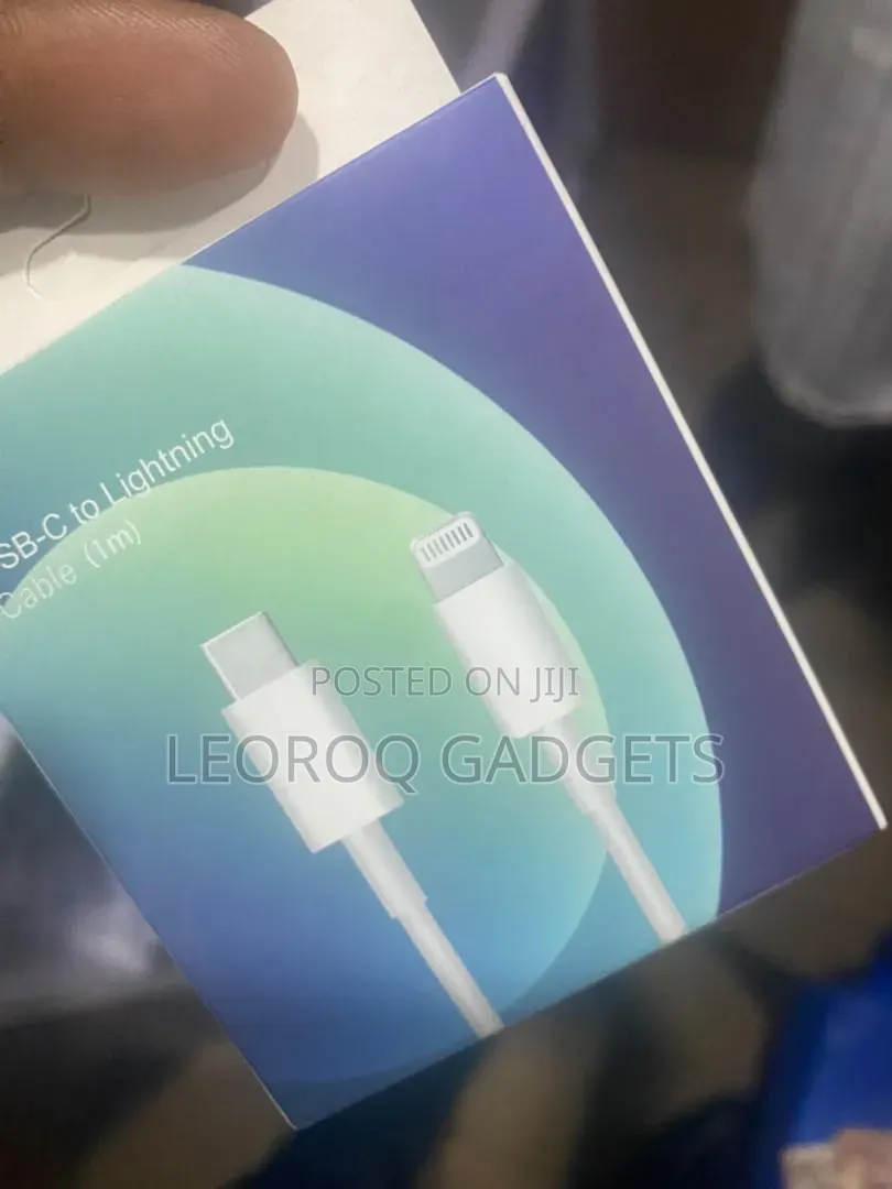 iPhone Lightning to USA Cable