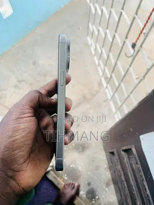 Apple iPhone 15 Pro Max 256 GB Silver