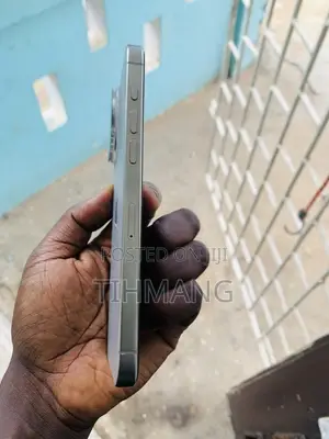 Apple iPhone 15 Pro Max 256 GB Silver