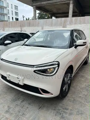 New Dongfeng Nammi 01 2025 White