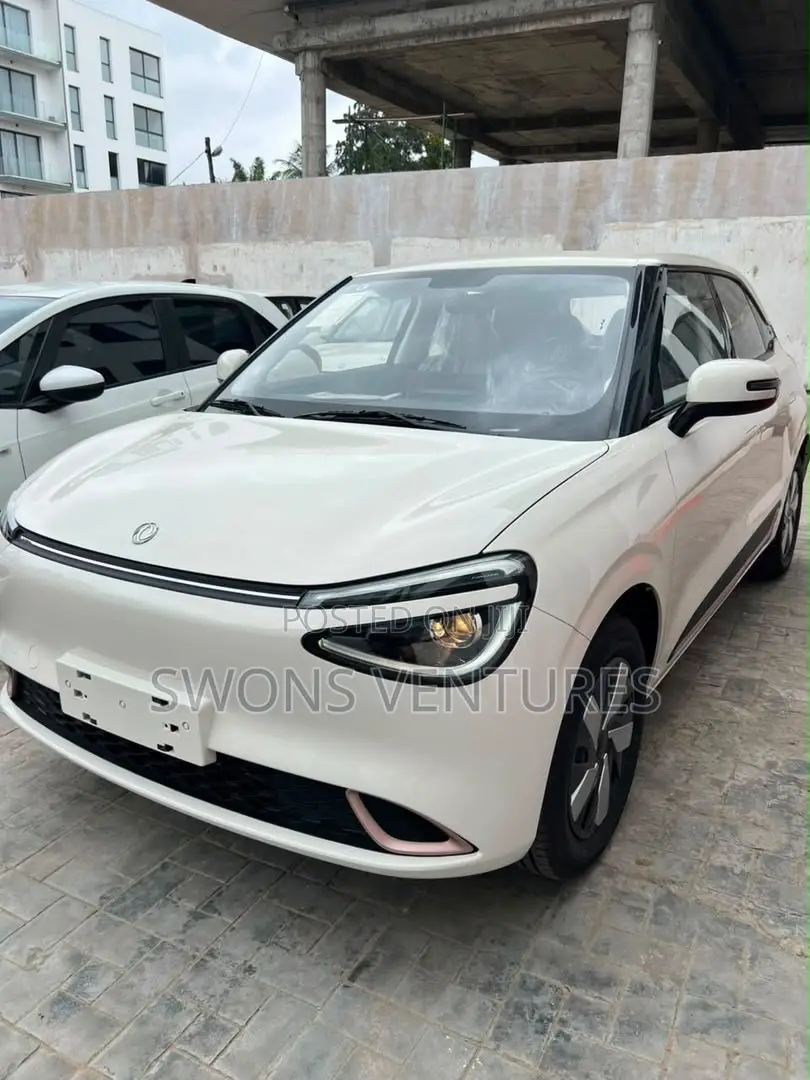 New Dongfeng Nammi 01 2025 White