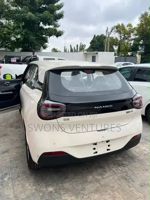 New Dongfeng Nammi 01 2025 White
