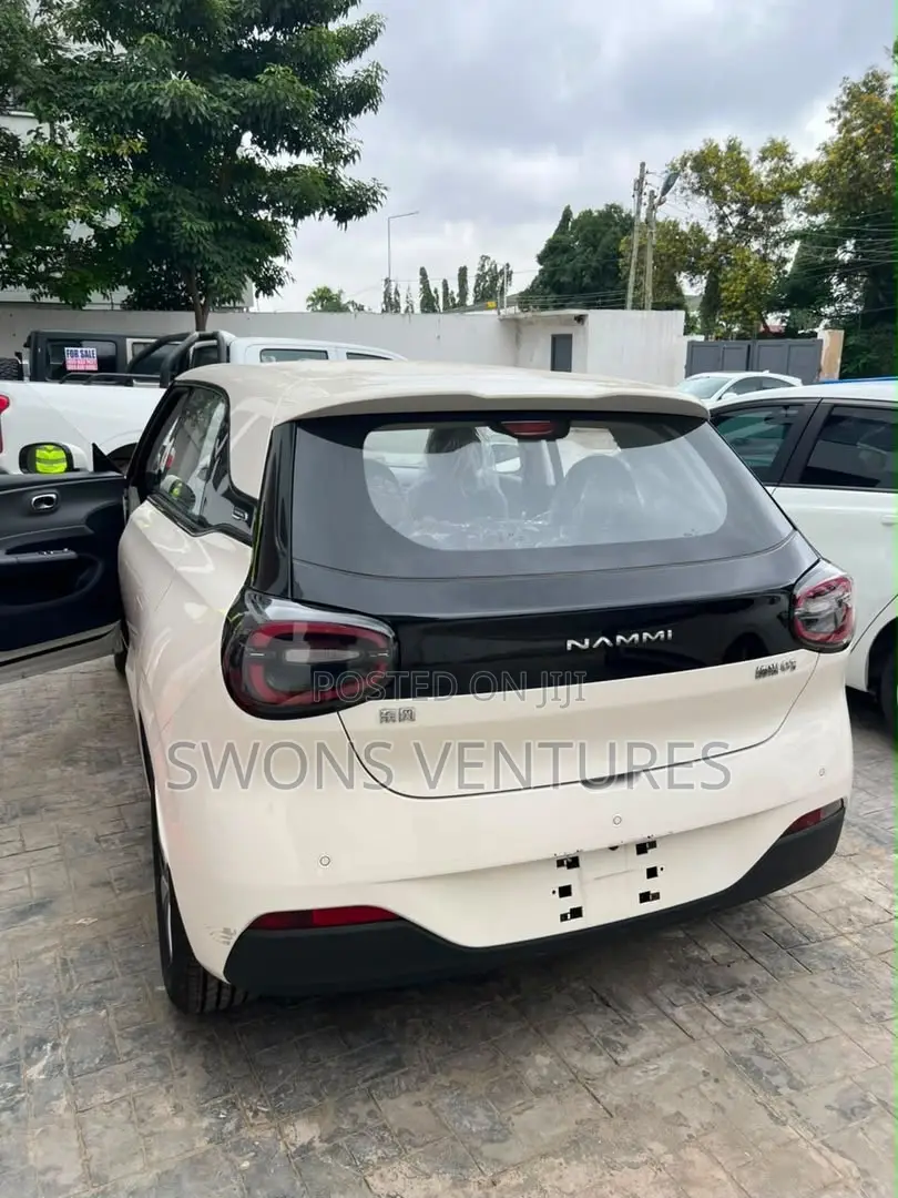New Dongfeng Nammi 01 2025 White
