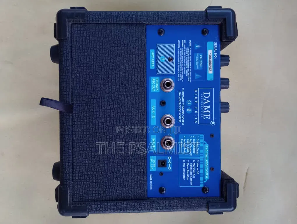 Dame Mini Guitar Combo