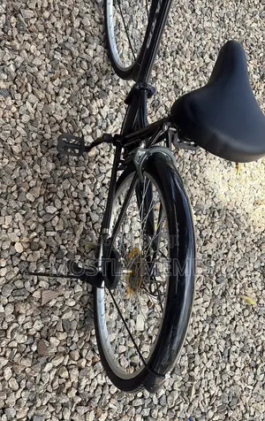 Foldable Bicycle