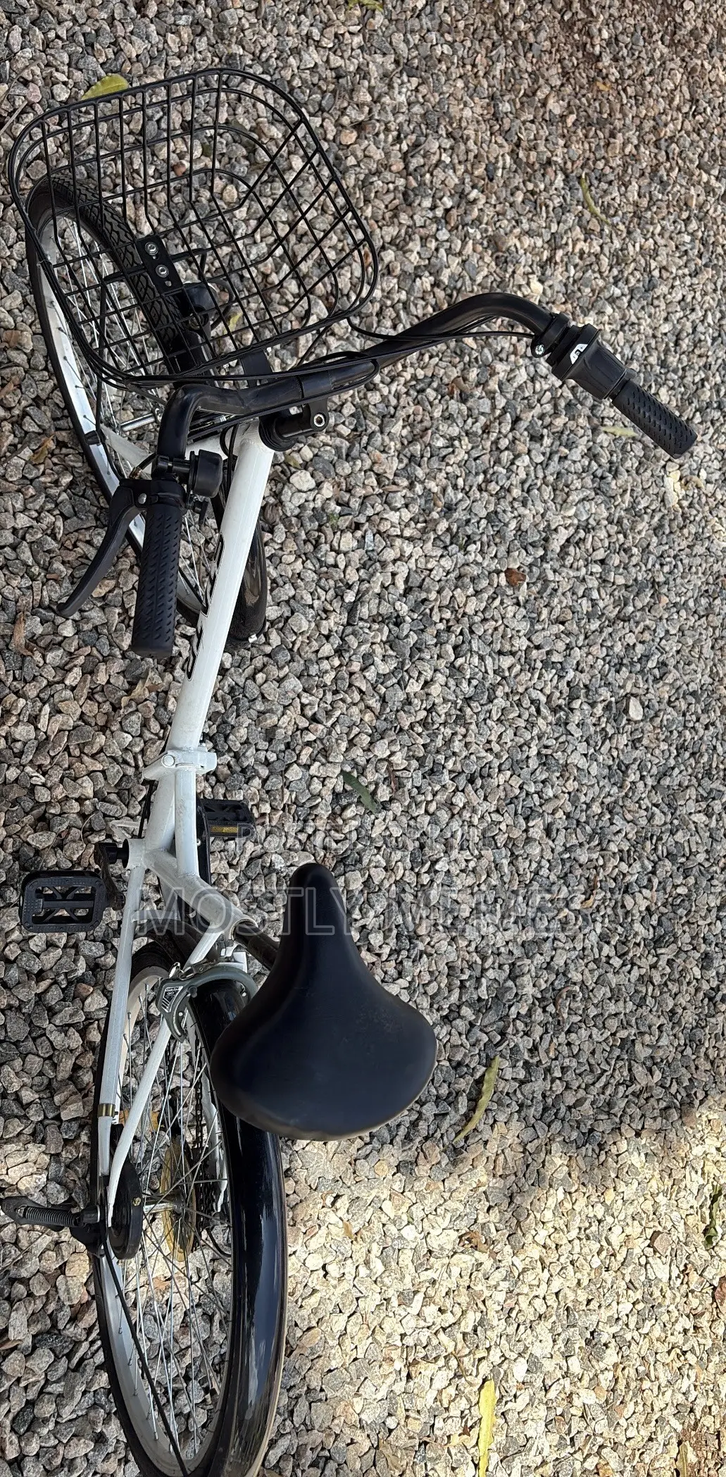 Fodable Bicycle