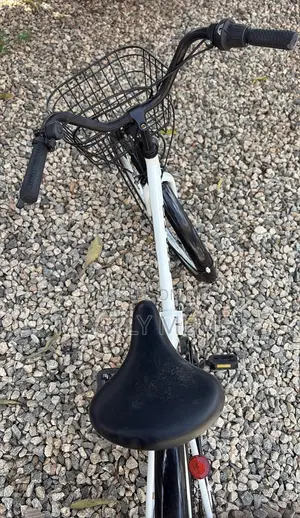 Fodable Bicycle