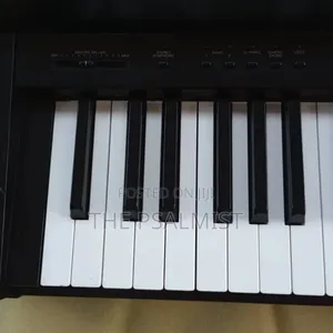 Yamaha Clavinova CLP- 300 Digital Piano