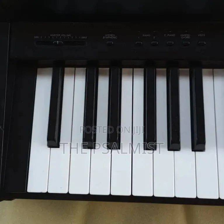 Yamaha Clavinova CLP- 300 Digital Piano
