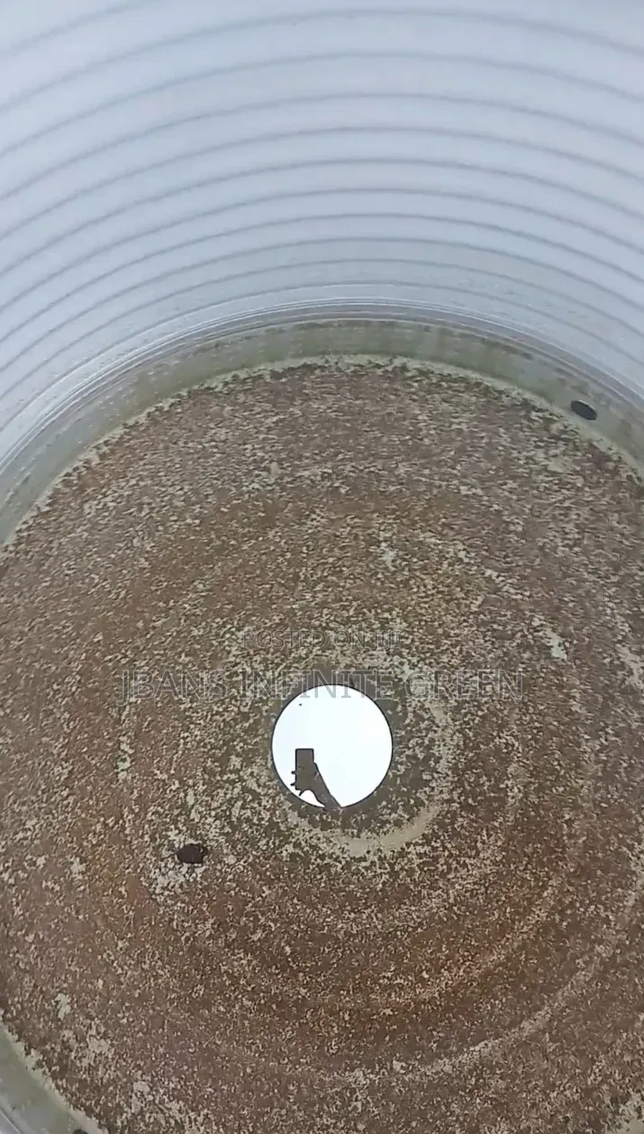 Water Tank Cleansing