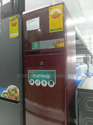 Flamino Refrigerator - Best in Ghana