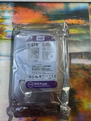 1TB Surveillance Hard Drive