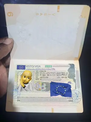 Schengen Visa Typ- D Process