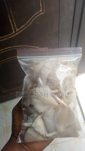 Fresh Mushrooms