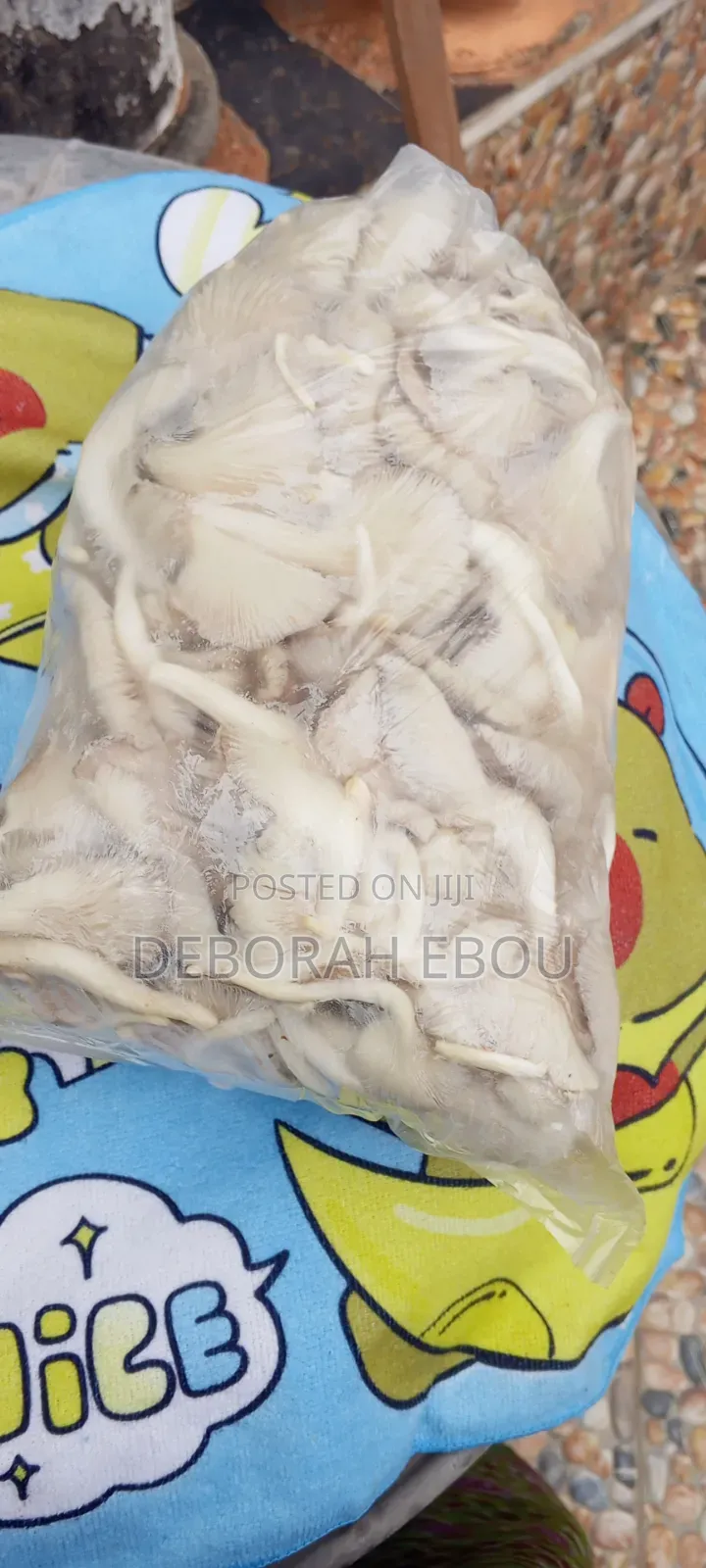 Fresh Mushrooms