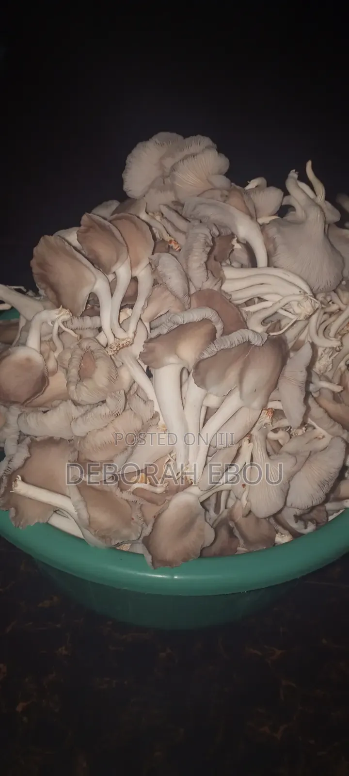 Fresh Mushrooms