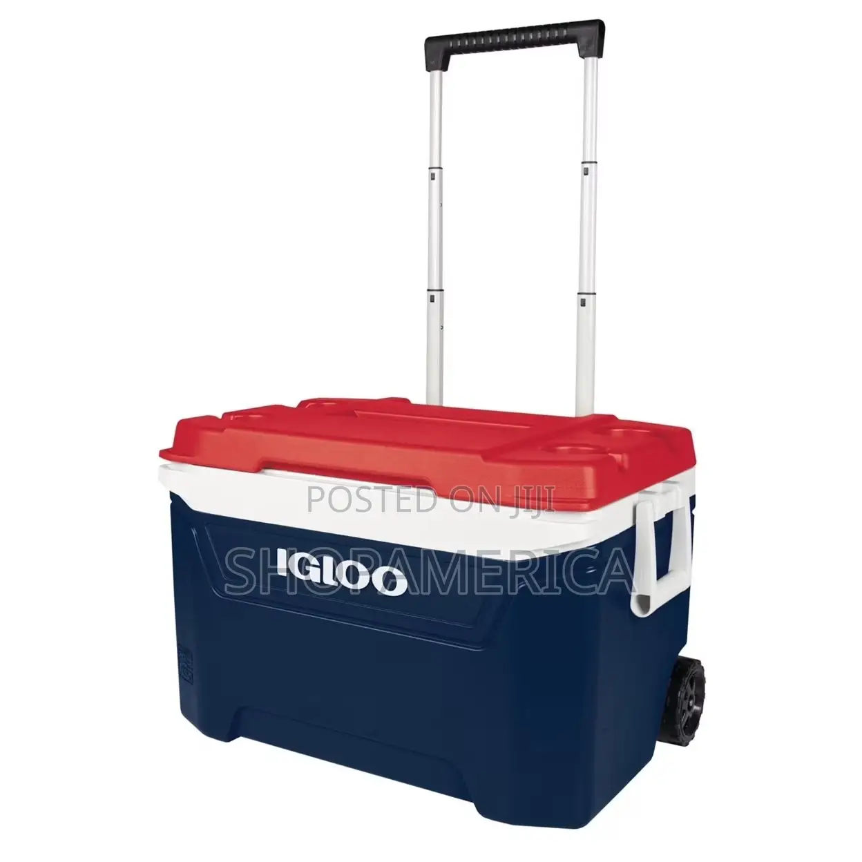 Igloo Ice Chest