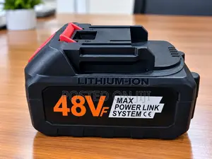 High Pressure Car Wash Gun Battery 48V Rechargeable Battery