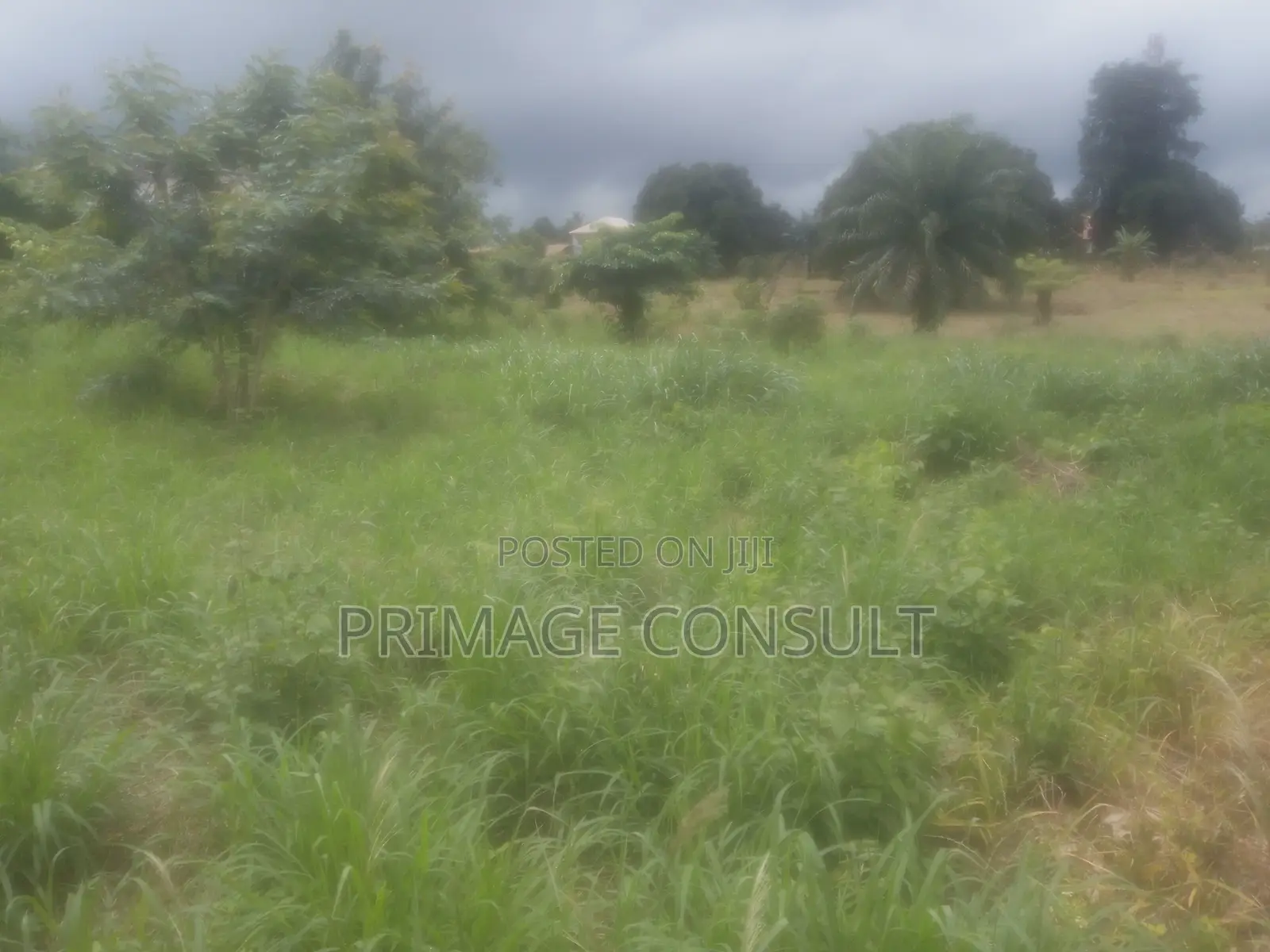 Plot of Land in Sunyani Mantukwa for Sale
