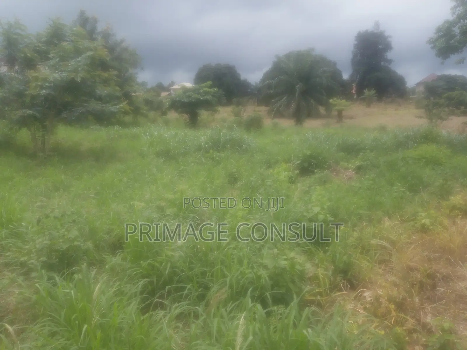 Plot of Land in Sunyani Mantukwa for Sale