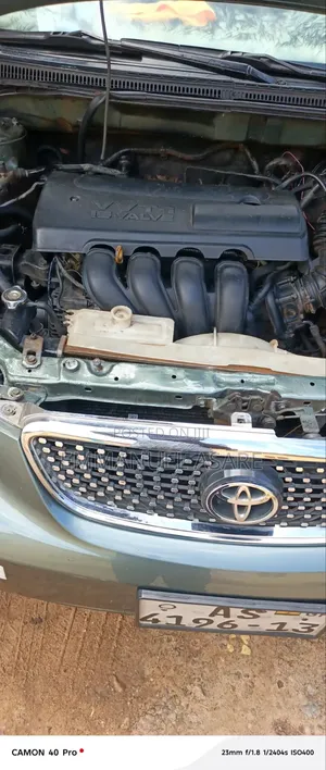 Toyota Corolla 2009 Green