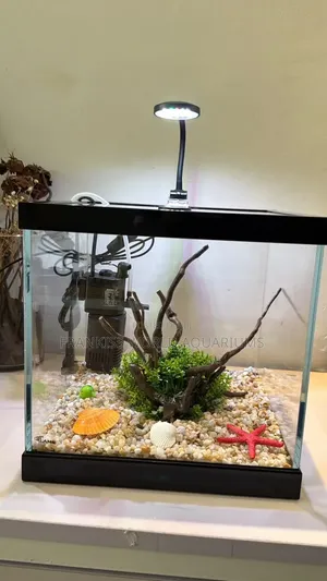 Mini Aquariums Tank