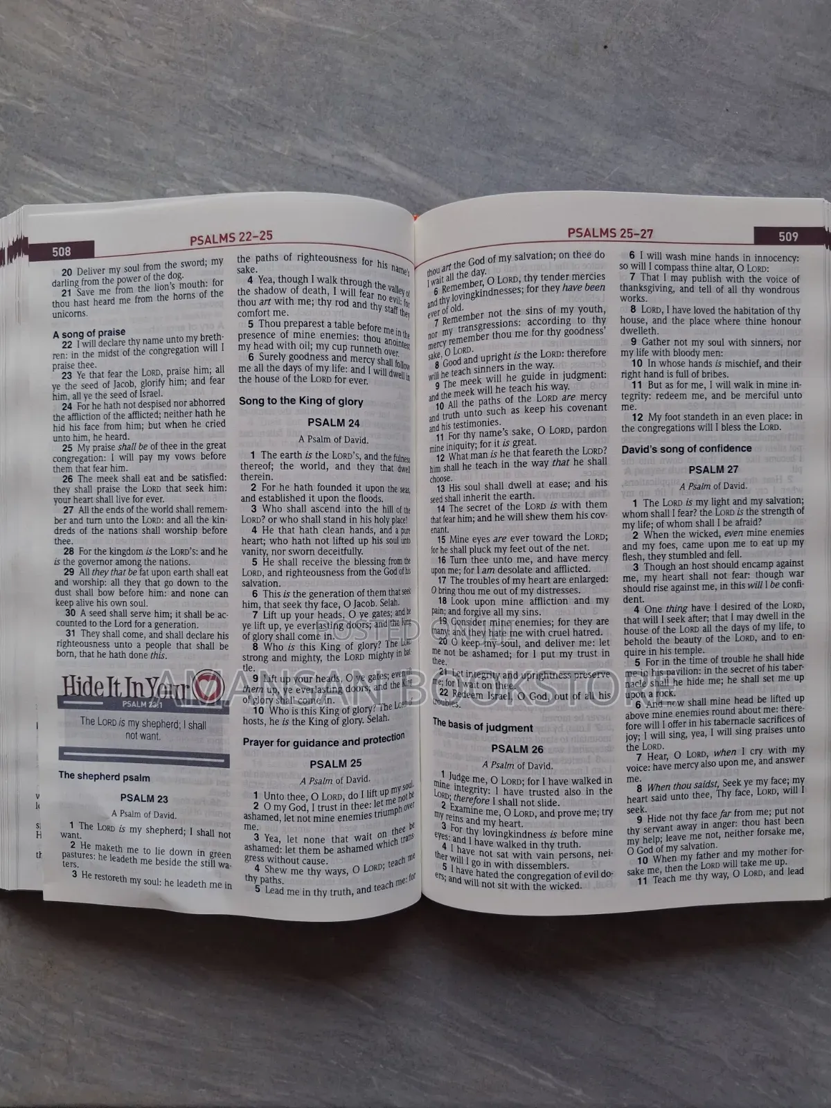 KJV Kids Study Bible (Full Children's Bible)