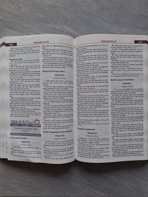 KJV Kids Study Bible (Full Children's Bible)