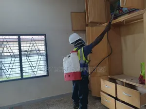 Hedges and Quarters Fumigation With Cleantex