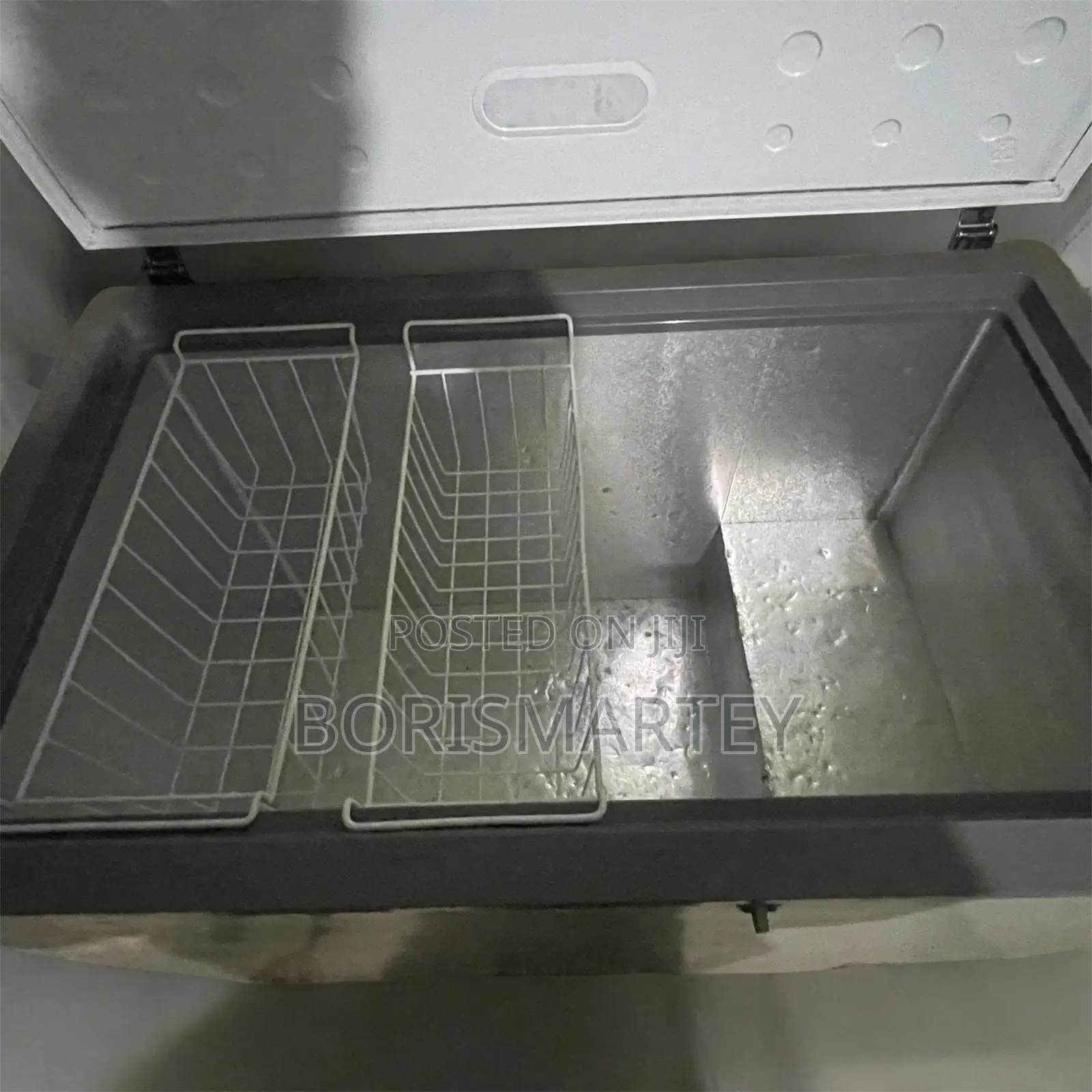 Nasco Deep Freezer