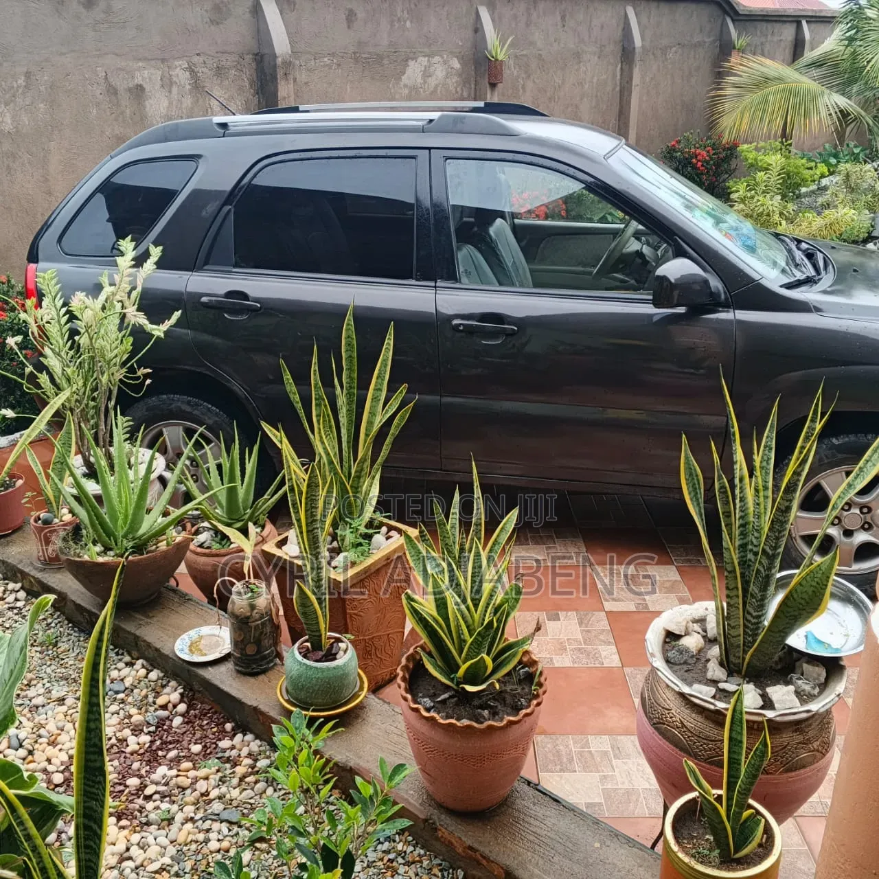 Kia Sportage 2007 Brown