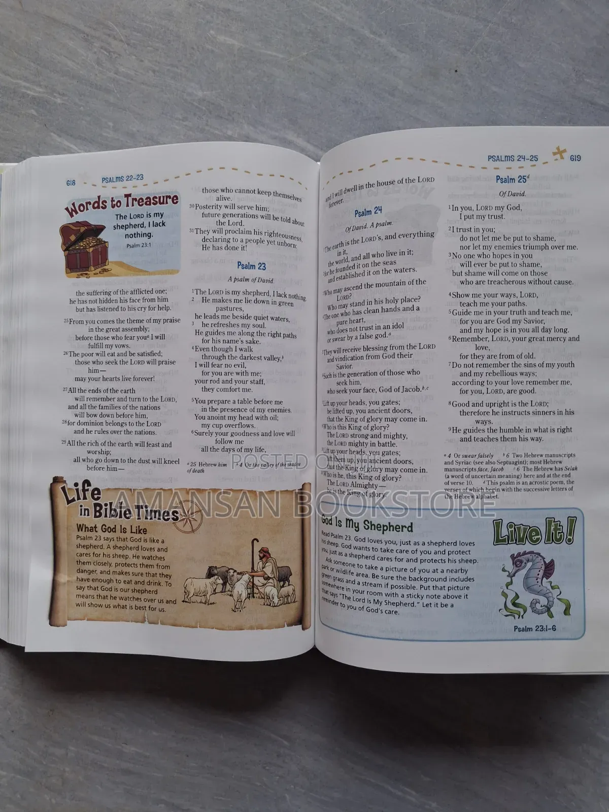 NIV Adventure Bible (Full Children's Bible)