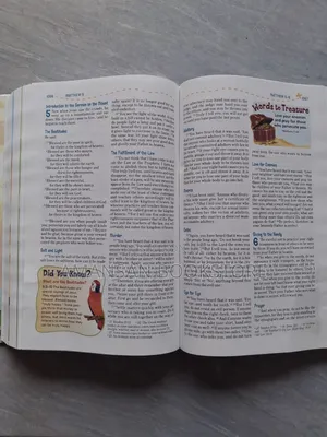 NIV Adventure Bible (Full Children's Bible)